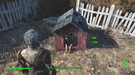 fallout 4 how to build dog house|fallout 4 finding dogmeat.